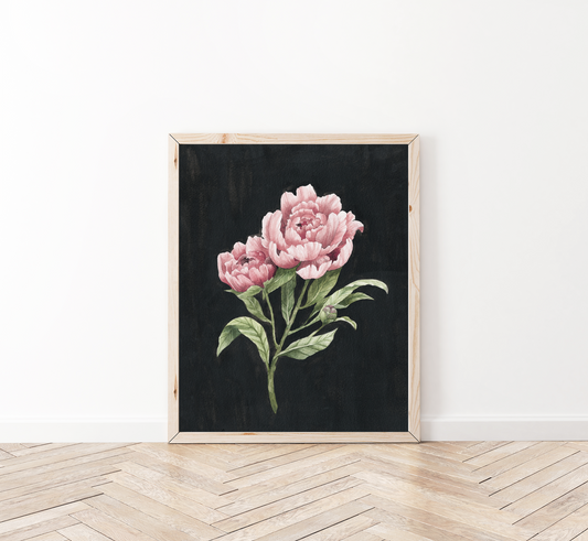 Midnight Peony Print