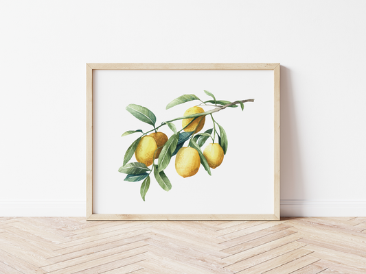 When Life Gives You Lemons Print