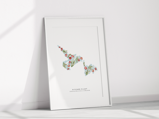 Newfoundland and Labrador Pitcher Plant Print