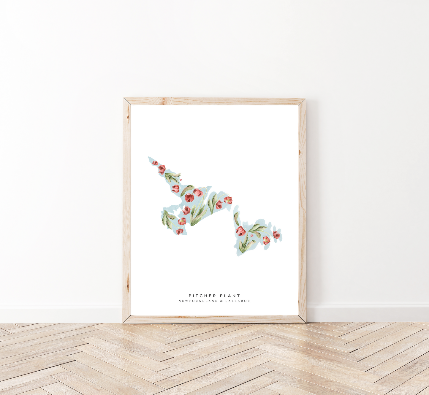 Newfoundland and Labrador Pitcher Plant Print