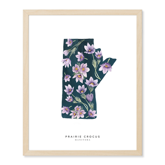 Manitoba Prairie Crocus Print