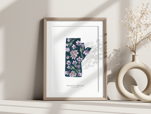 Manitoba Prairie Crocus Print