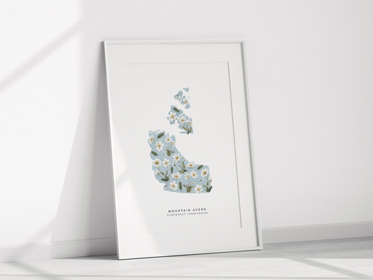 Northwest Territories Mountain Avens Print