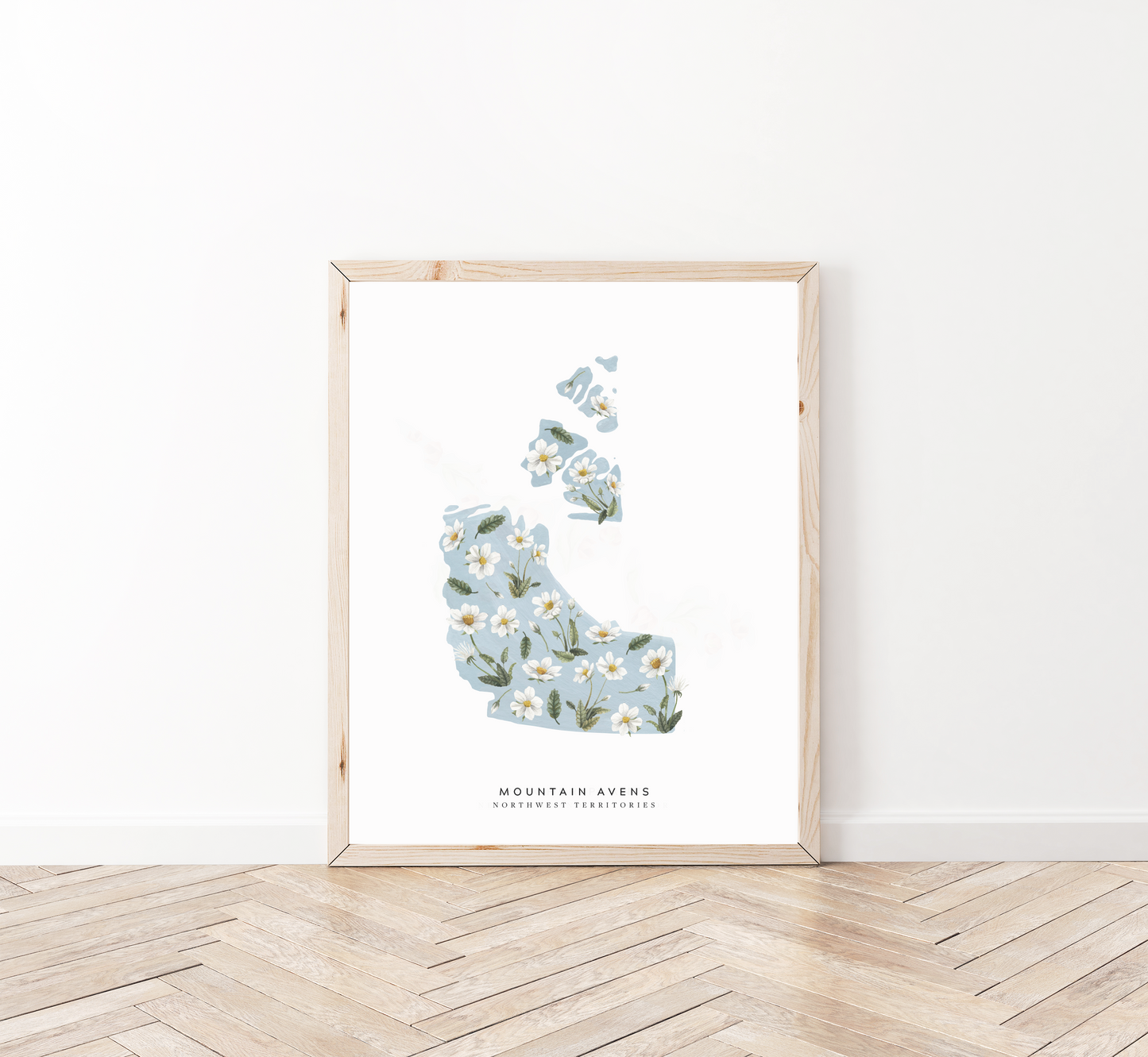 Northwest Territories Mountain Avens Print