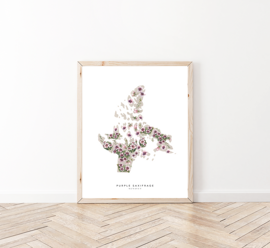 Nunavut Purple Saxifrage Print