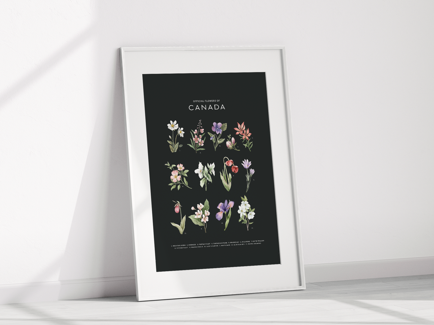 Official Flowers of Canada Print - Dark