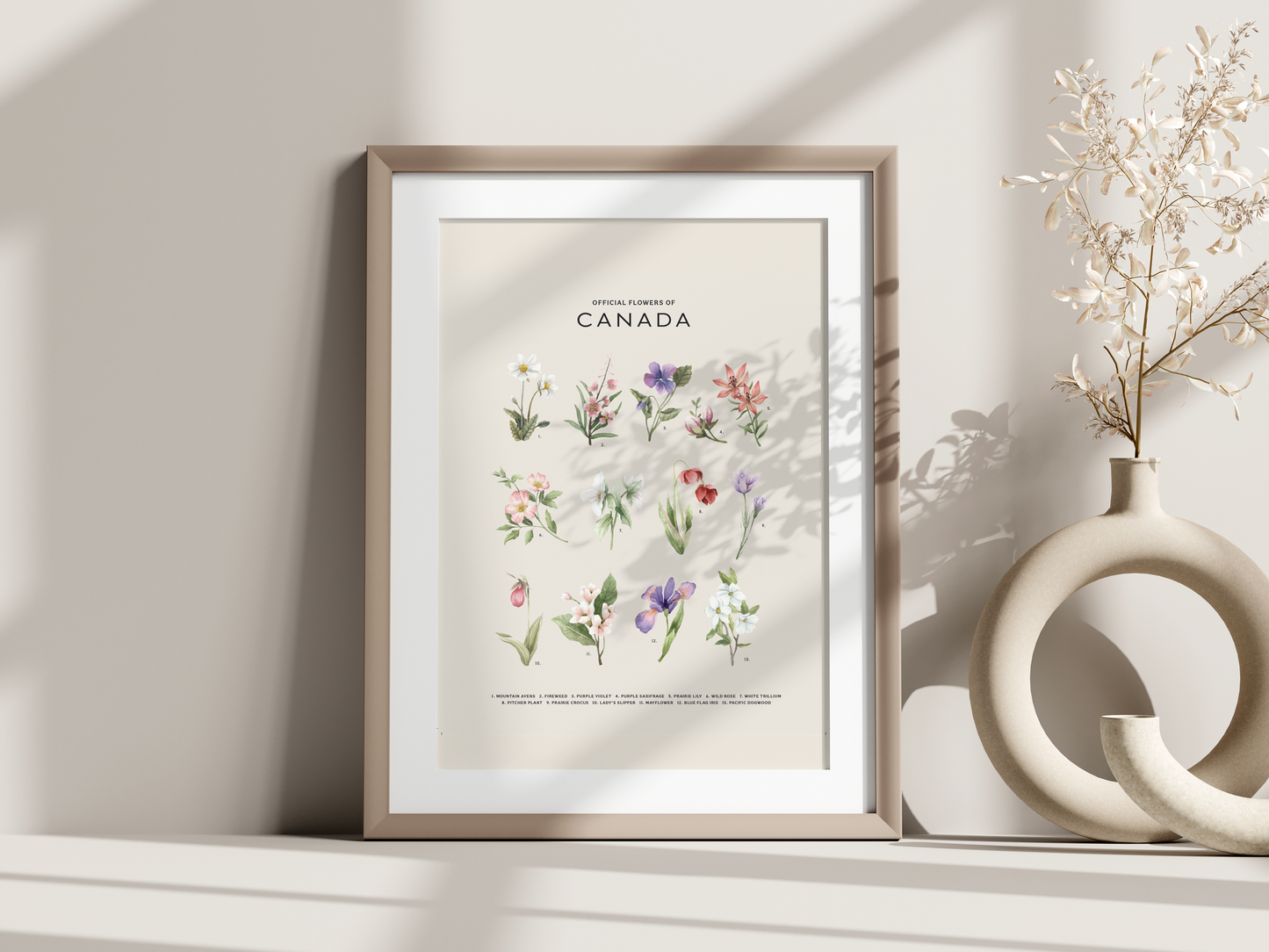 Official Flowers of Canada Print - Light