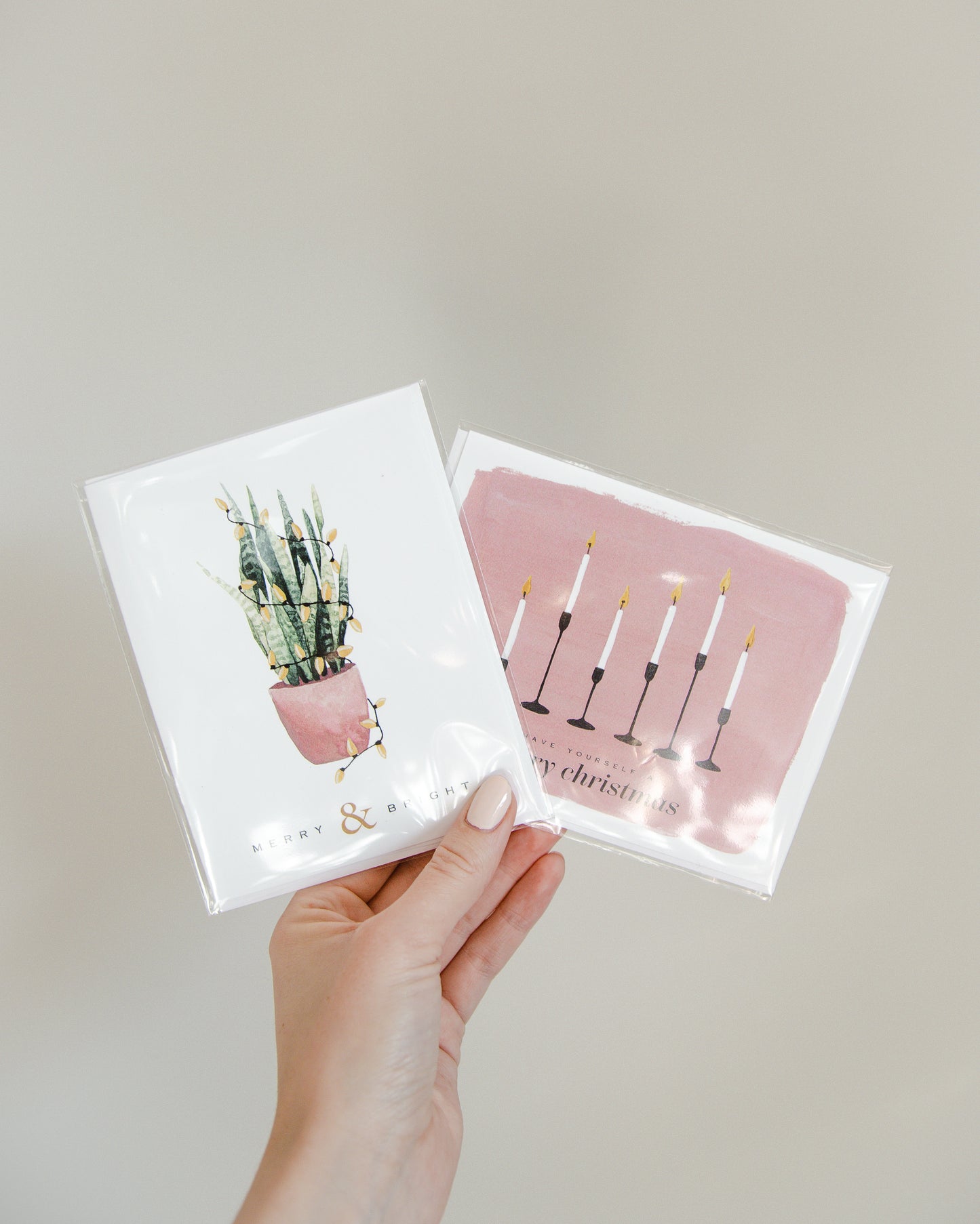 Merry & Bright Snake Plant Card