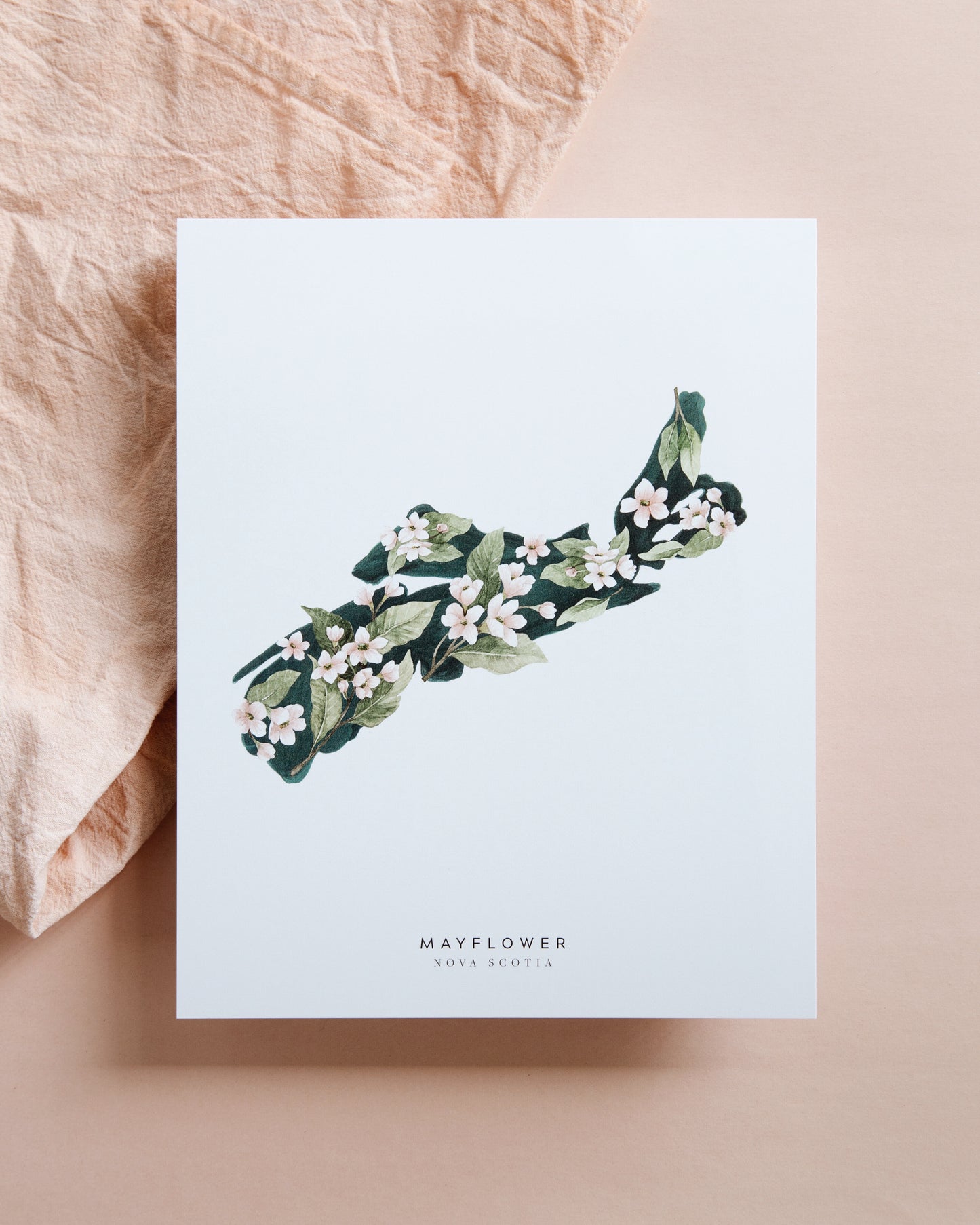 Nova Scotia Mayflower Print