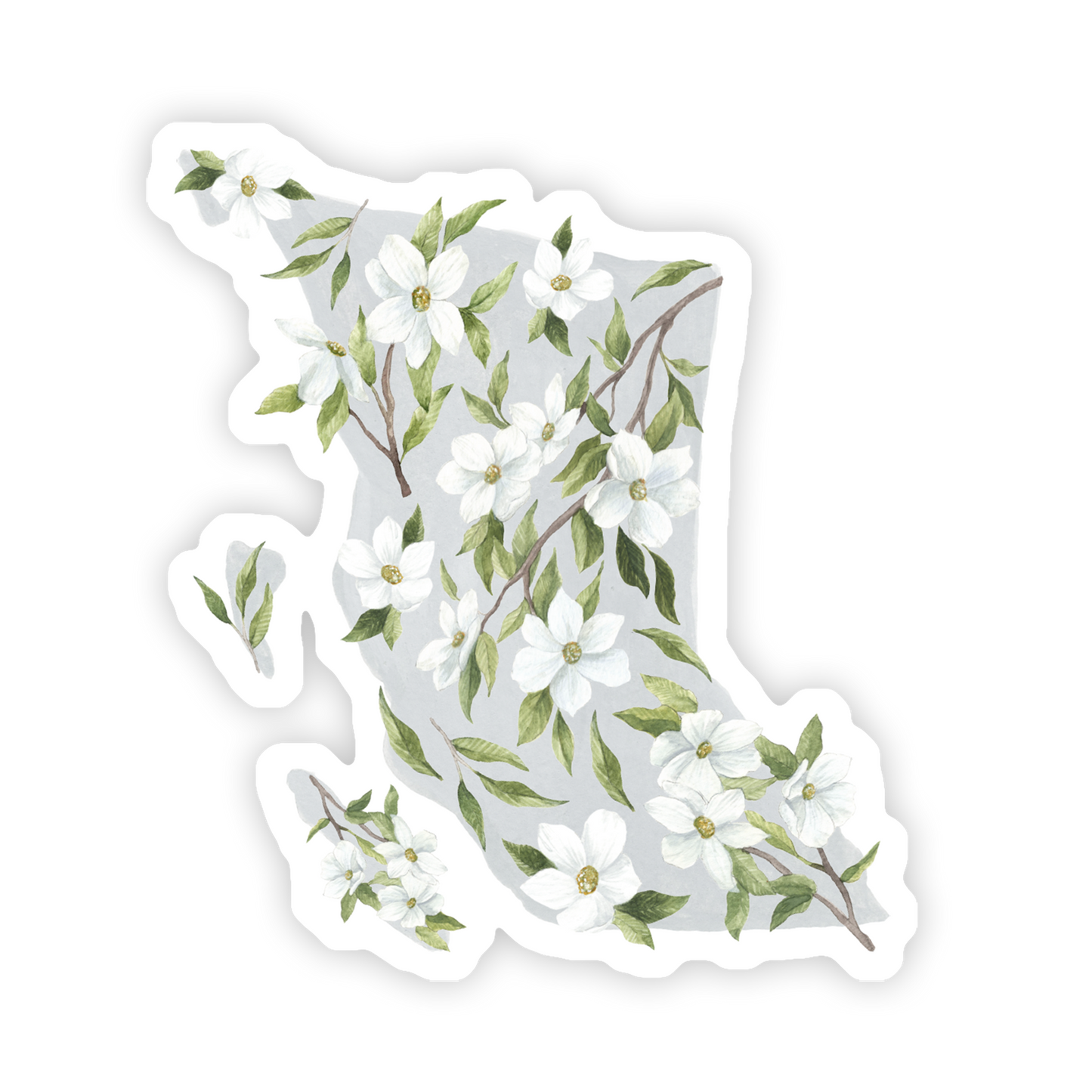 British Columbia Pacific Dogwood Sticker