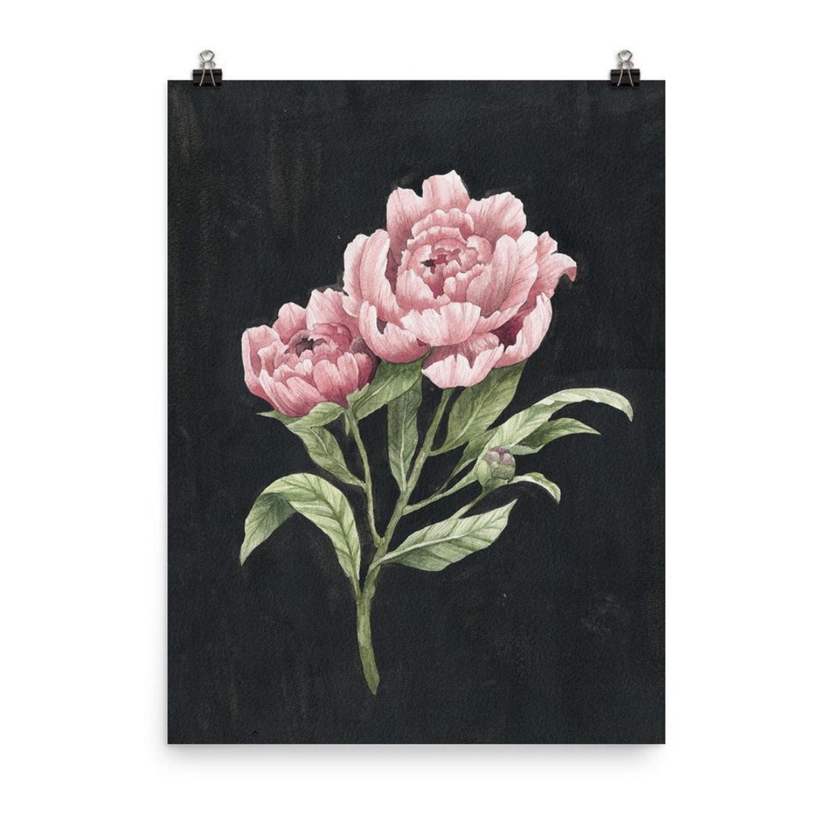 Midnight Peony Print