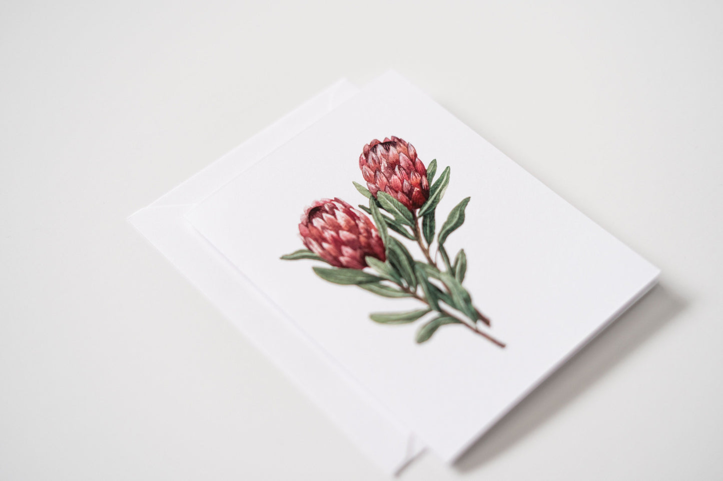Protea Card