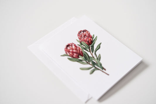 Protea Card