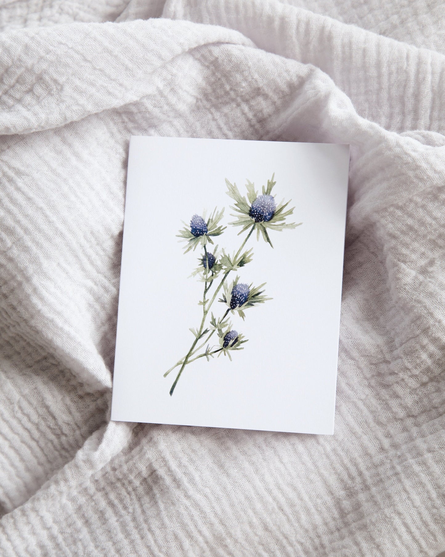 Blue Thistle Card