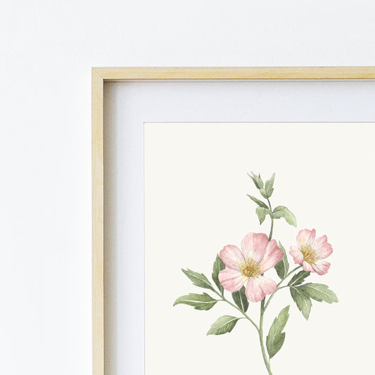 Vintage Wild Rose Print