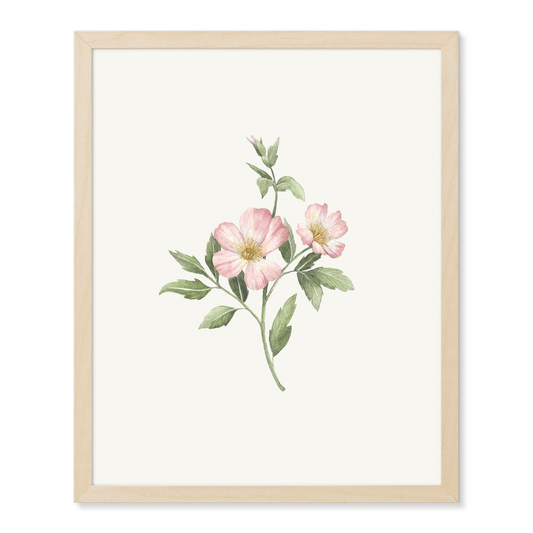 Vintage Wild Rose Print