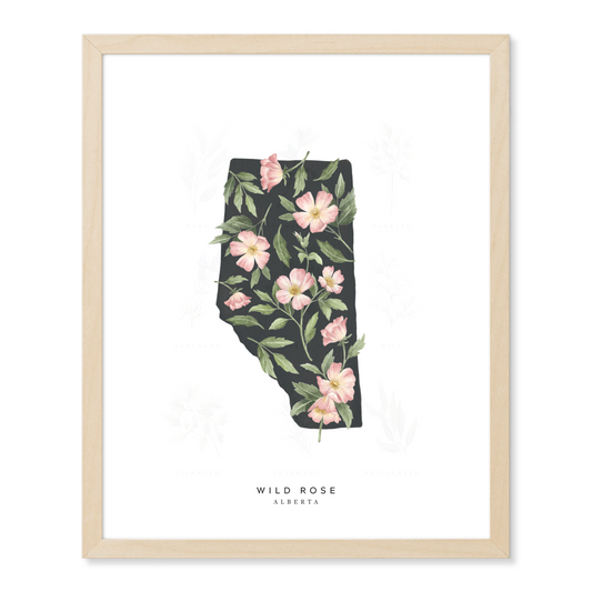 Alberta Wild Rose Print