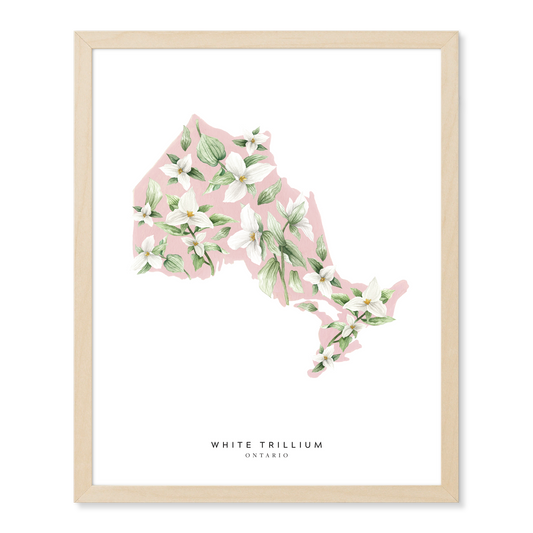 Ontario White Trillium Print