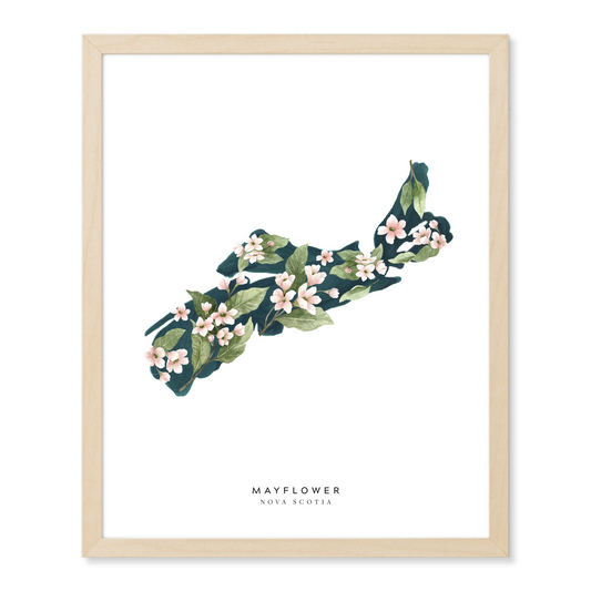 Nova Scotia Mayflower Print