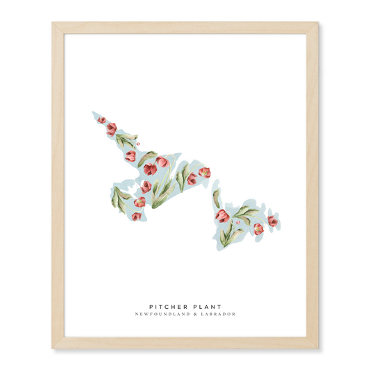 Newfoundland and Labrador Pitcher Plant Print