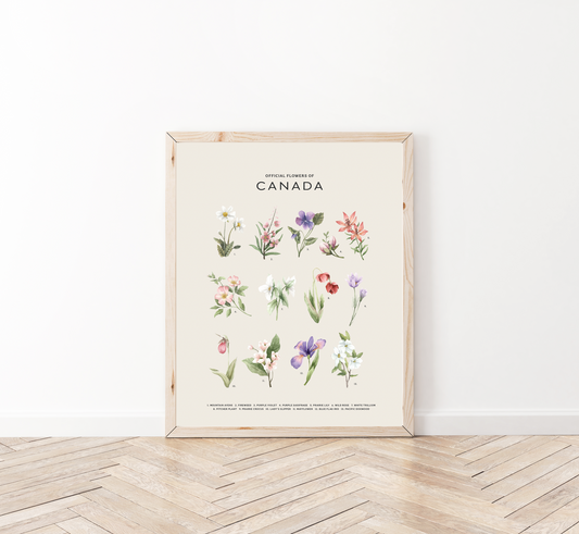 Official Flowers of Canada Print - Light