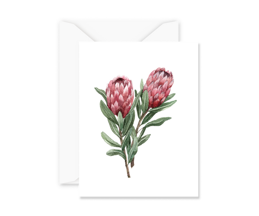 Protea Card