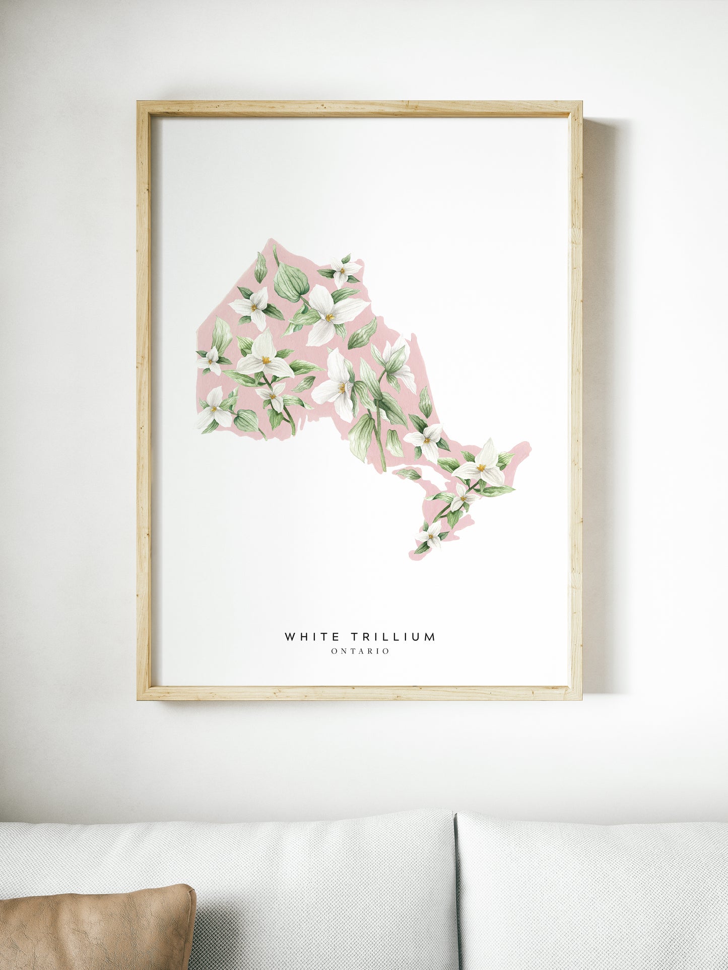 Ontario White Trillium Print